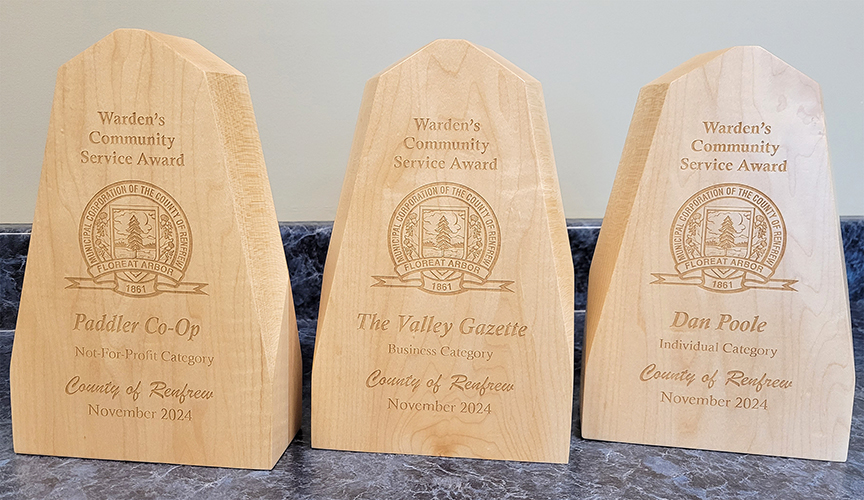 three wooden awards lined up on an angle on a blue counter