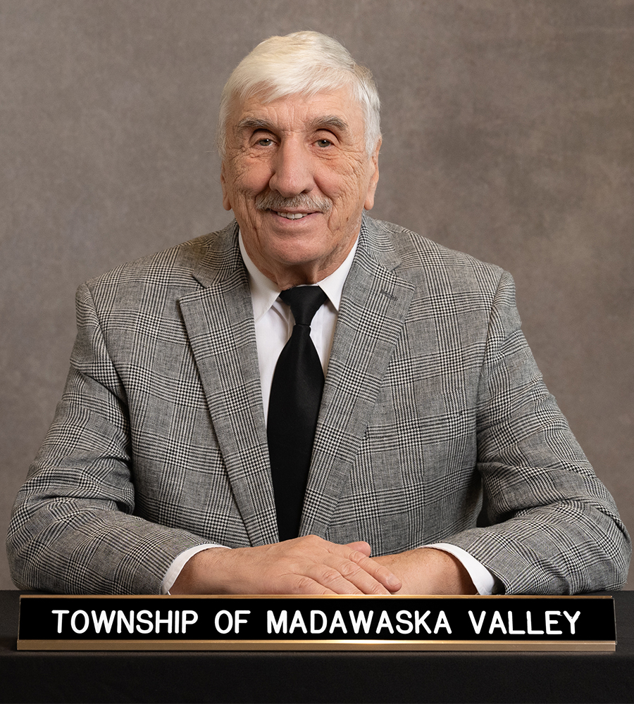 Councillor David Shulist