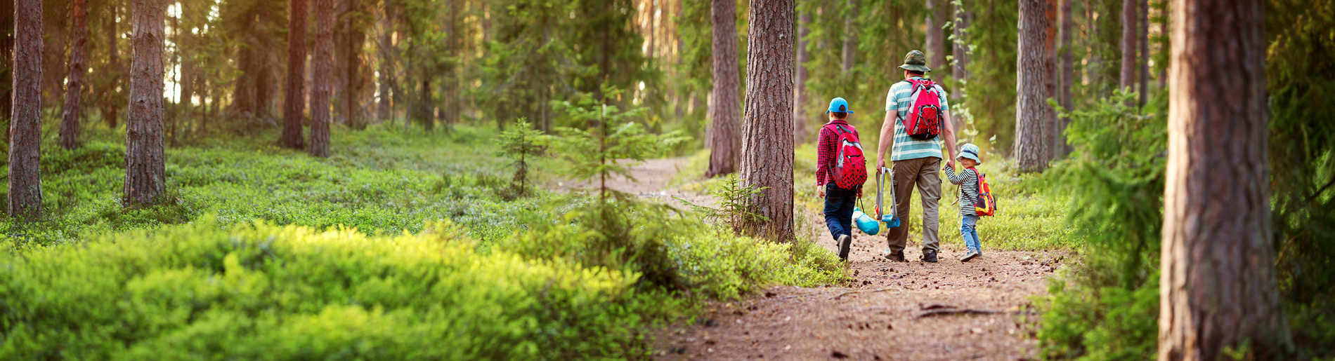 Man with sons with backpacks walking in the forest