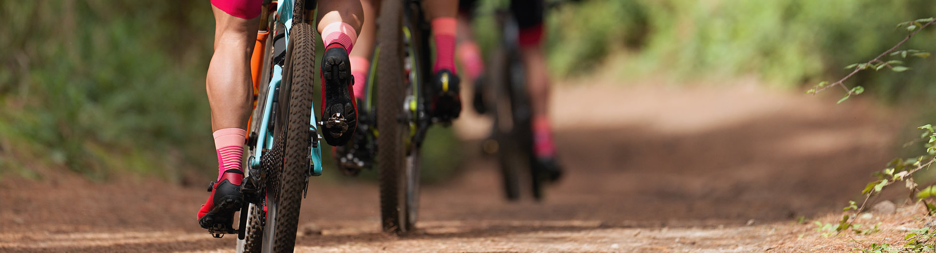 Mountain biking on forest trail