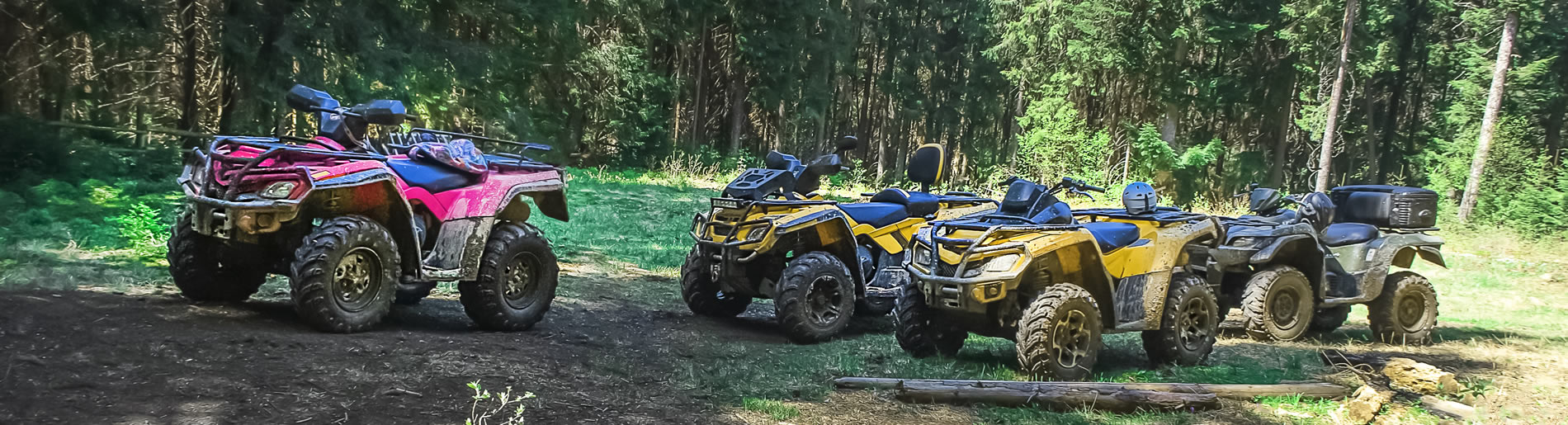  ATV bikes on a trail in summer