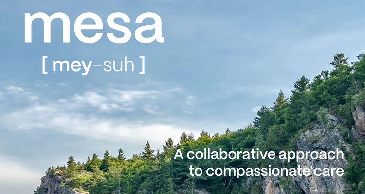 mesa 