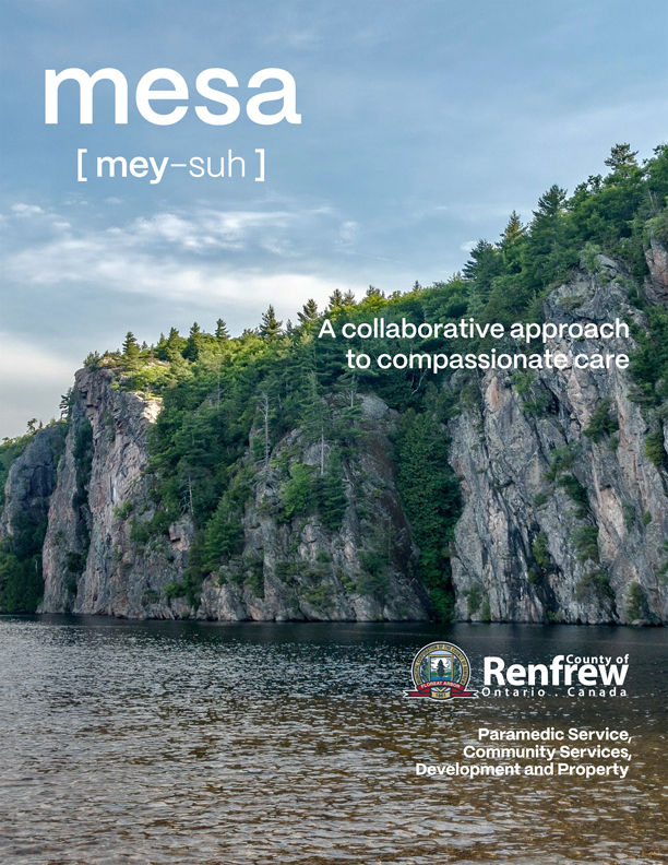 mesa Report cover
